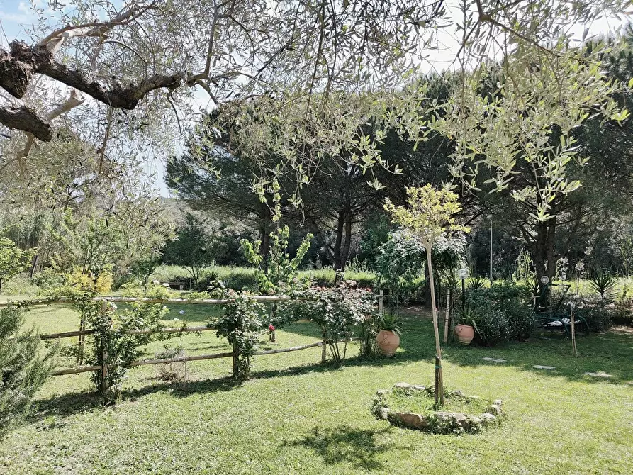 Immagine 49 di Appartamento in vendita  a Livorno