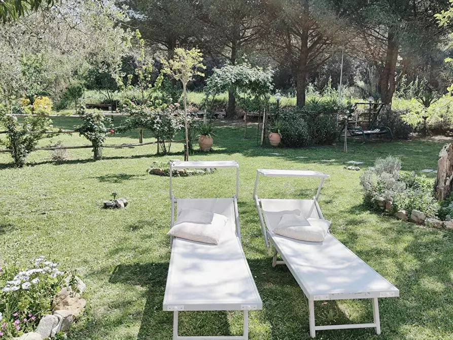 Immagine 26 di Appartamento in vendita  a Livorno