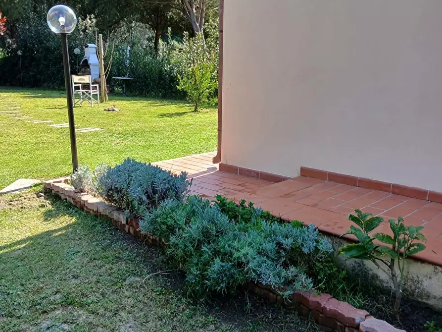 Immagine 39 di Appartamento in vendita  a Livorno