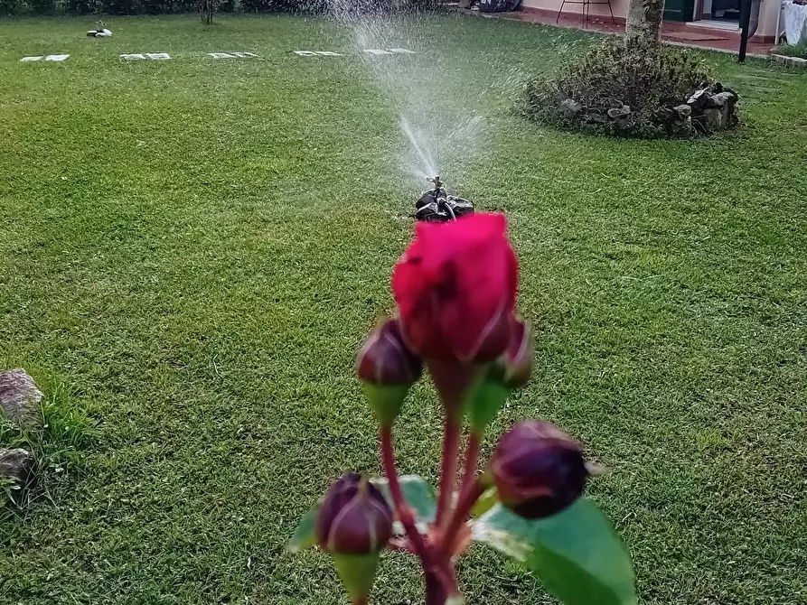 Immagine 25 di Appartamento in vendita  a Livorno