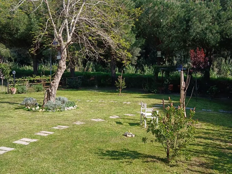 Immagine 27 di Appartamento in vendita  a Livorno