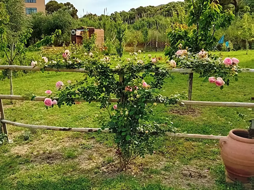 Immagine 24 di Appartamento in vendita  a Livorno