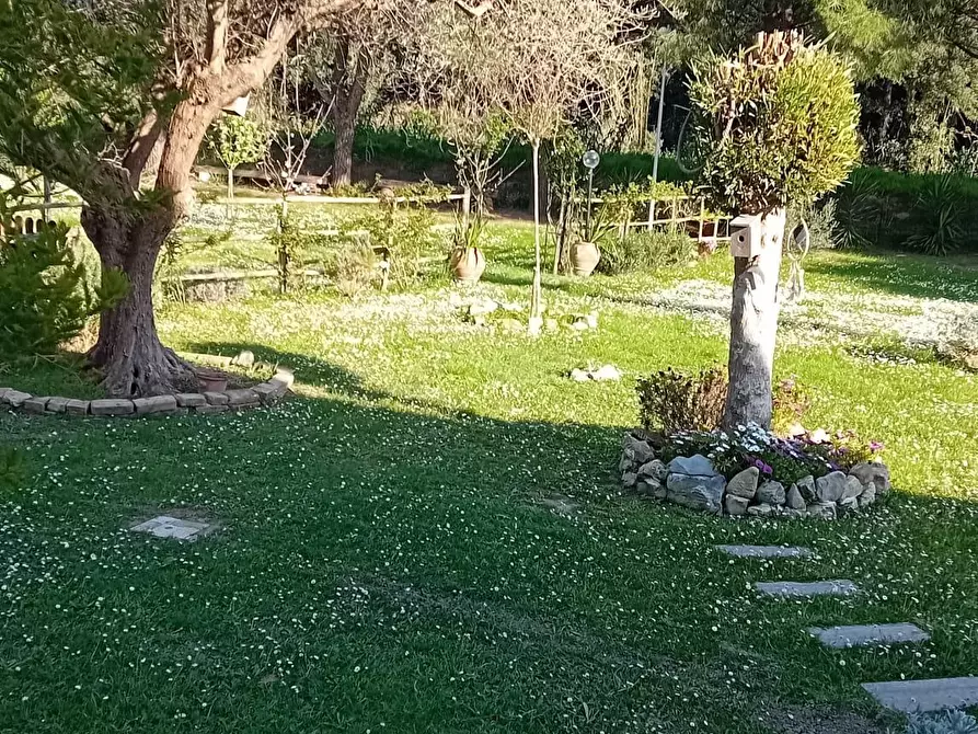 Immagine 35 di Appartamento in vendita  a Livorno