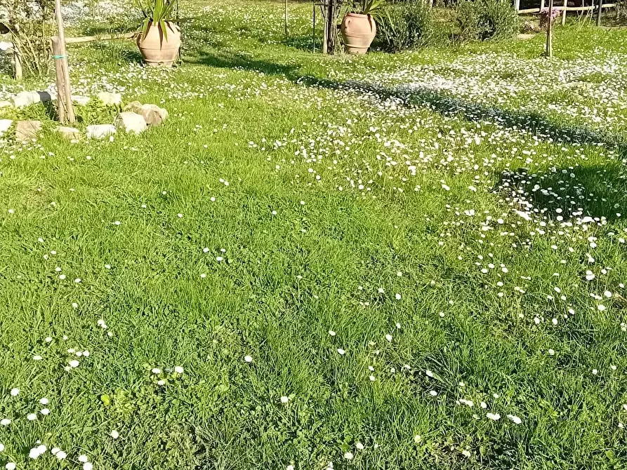 Immagine 37 di Appartamento in vendita  a Livorno