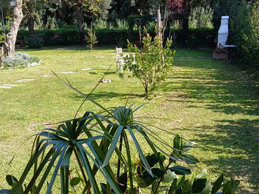 Immagine 38 di Appartamento in vendita  a Livorno