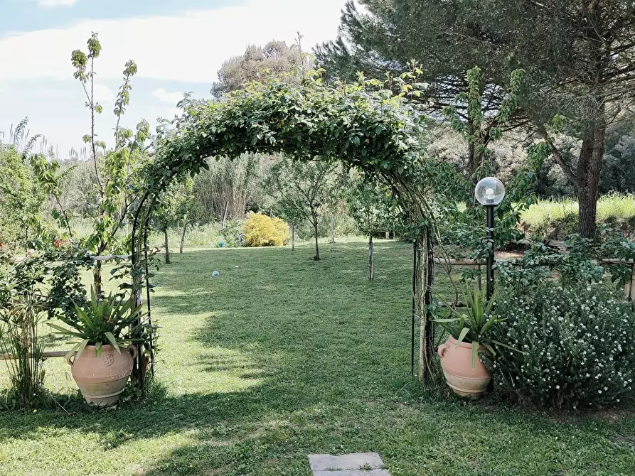 Immagine 48 di Appartamento in vendita  a Livorno