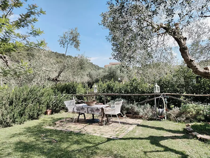 Immagine 28 di Appartamento in vendita  a Livorno