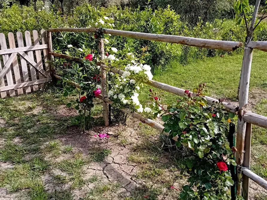 Immagine 26 di Appartamento in vendita  a Livorno