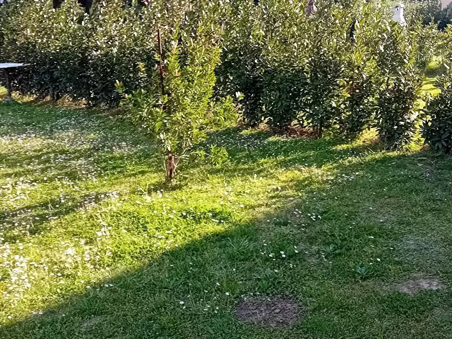 Immagine 36 di Appartamento in vendita  a Livorno