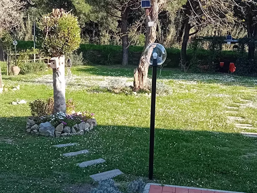 Immagine 33 di Appartamento in vendita  a Livorno