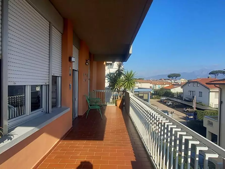 Immagine 6 di Appartamento in affitto  a Camaiore