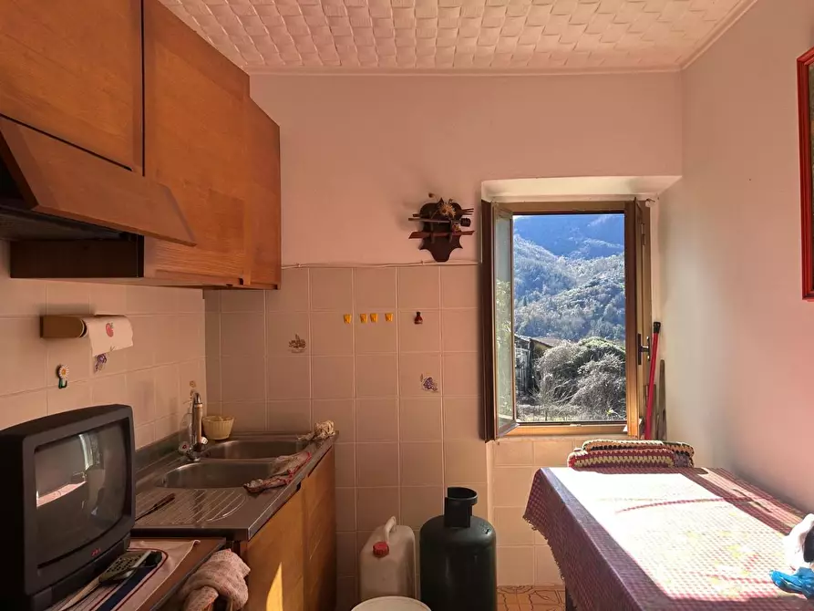 Immagine 1 di Appartamento in vendita  a Tresana