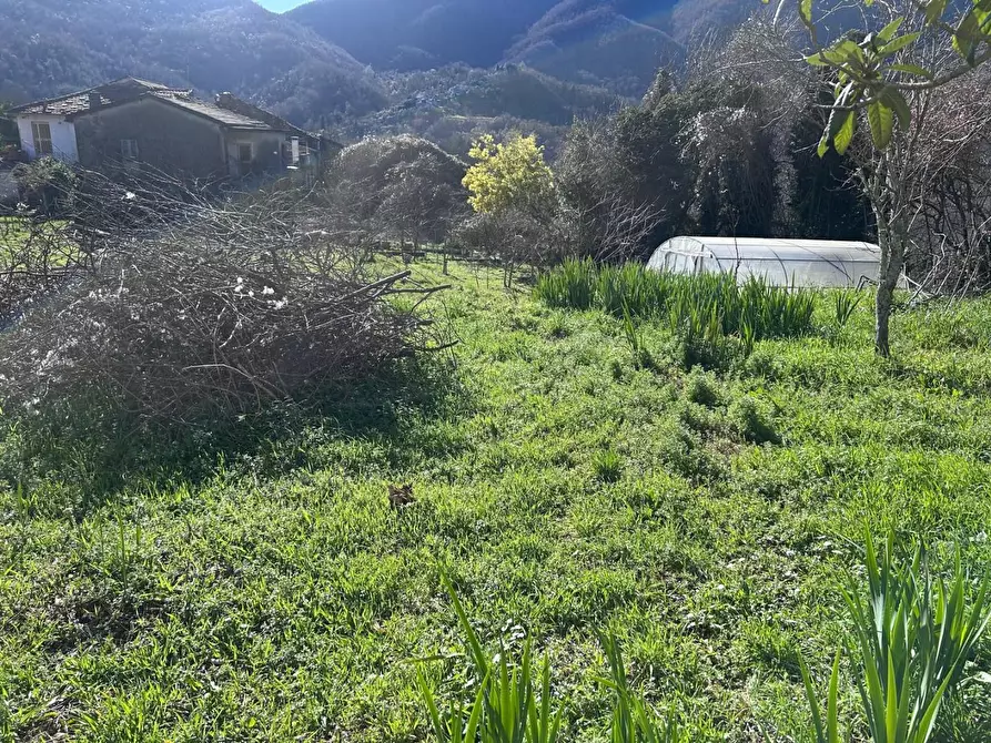 Immagine 9 di Appartamento in vendita  a Tresana