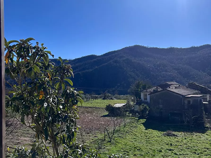 Immagine 13 di Appartamento in vendita  a Tresana