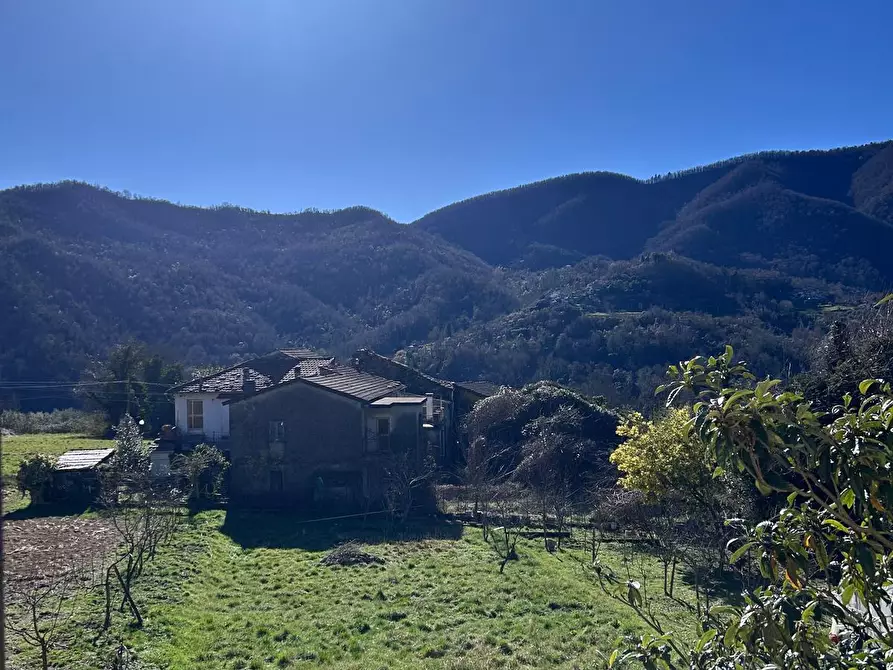 Immagine 2 di Appartamento in vendita  a Tresana