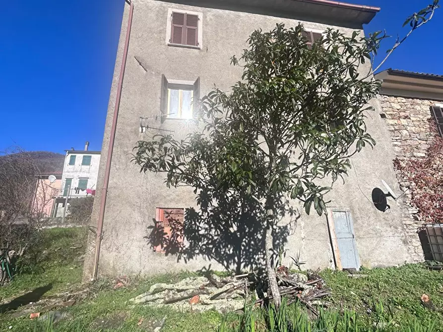 Immagine 14 di Appartamento in vendita  a Tresana