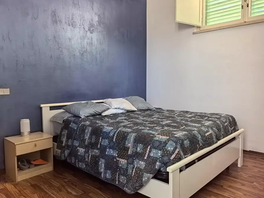 Immagine 20 di Appartamento in affitto  a Vicopisano