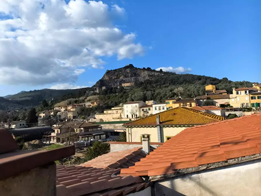 Immagine 34 di Appartamento in affitto  a Vicopisano