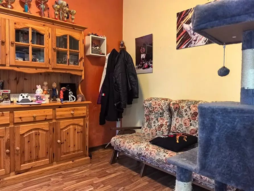 Immagine 11 di Appartamento in affitto  a Vicopisano