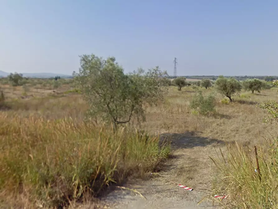 Immagine 1 di Terreno agricolo in vendita  a Grosseto