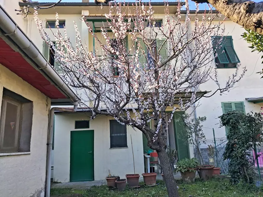 Immagine 11 di Terratetto in vendita  a Empoli