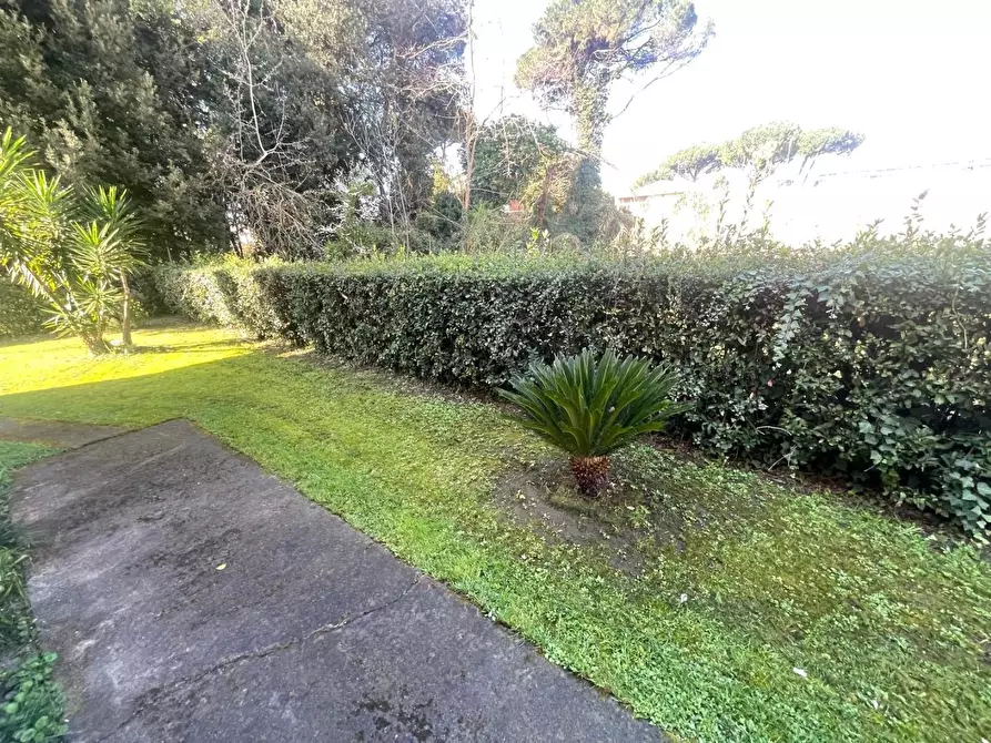 Immagine 5 di Appartamento in vendita  a Massa