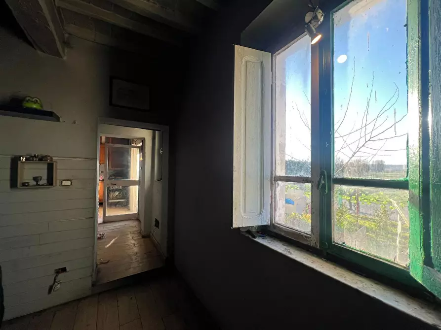 Immagine 15 di Terratetto in vendita  a Fucecchio