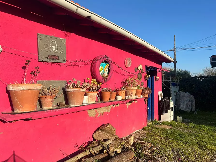 Immagine 4 di Terratetto in vendita  a Fucecchio