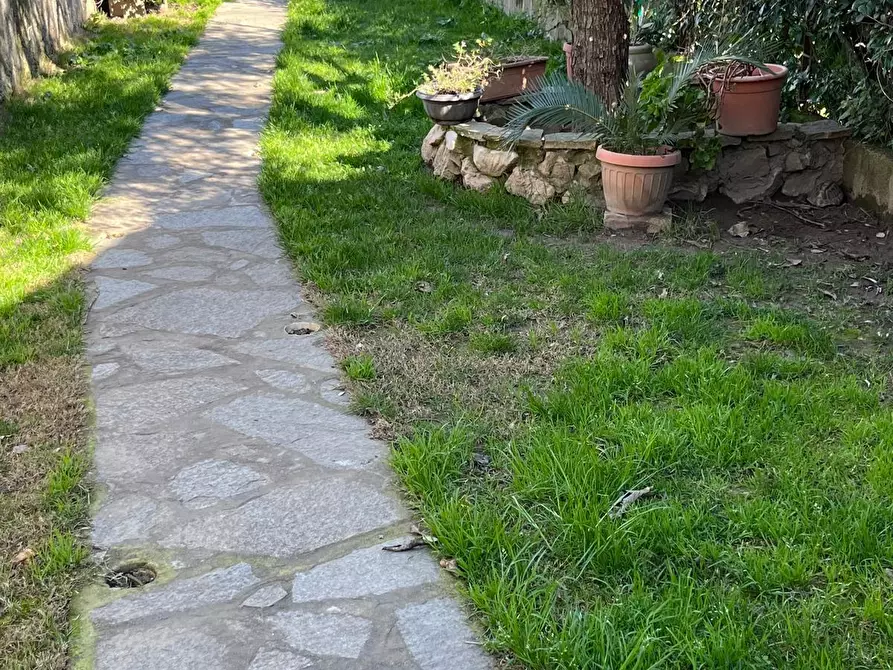 Immagine 24 di Terratetto in vendita  a Vecchiano