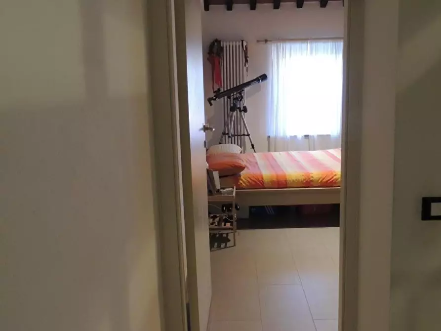 Immagine 13 di Terratetto in vendita  a Vecchiano