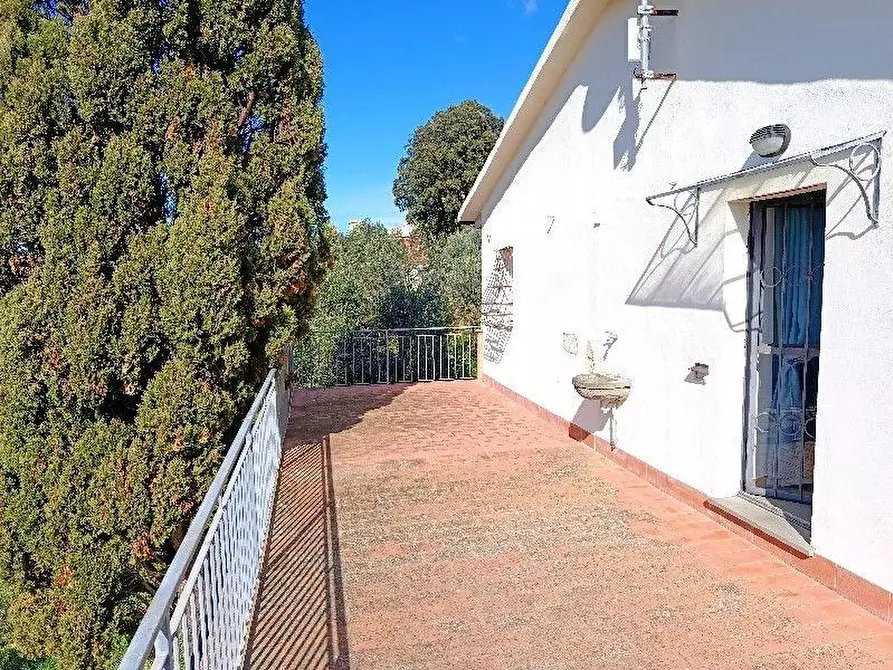 Immagine 24 di Villa in vendita  a Rosignano Marittimo