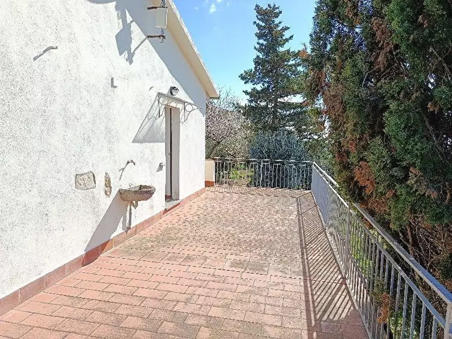 Immagine 23 di Villa in vendita  a Rosignano Marittimo