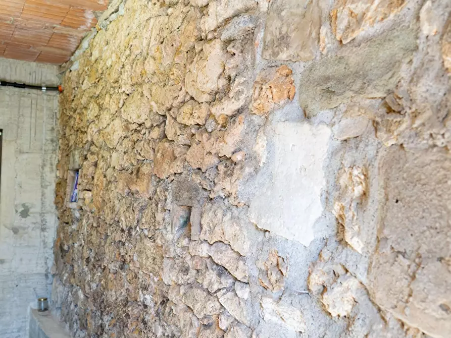 Immagine 41 di Villa in vendita  a Rosignano Marittimo