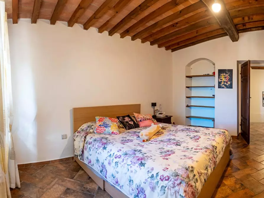 Immagine 26 di Villa in vendita  a Rosignano Marittimo