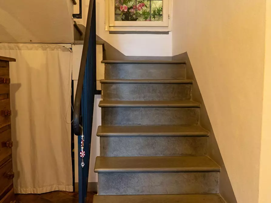 Immagine 37 di Villa in vendita  a Rosignano Marittimo