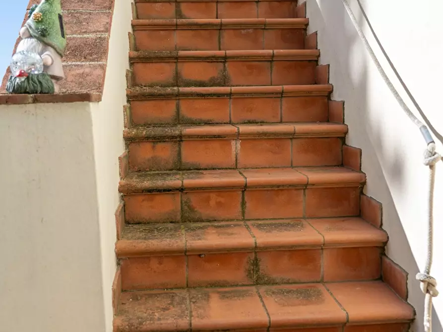 Immagine 38 di Villa in vendita  a Rosignano Marittimo