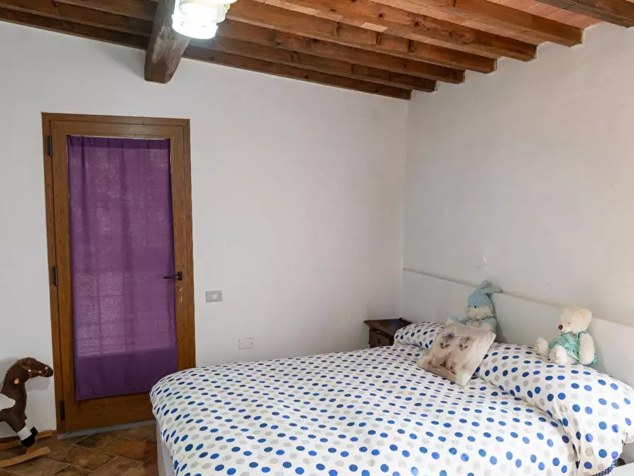 Immagine 30 di Villa in vendita  a Rosignano Marittimo