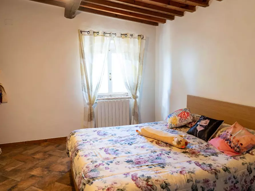 Immagine 27 di Villa in vendita  a Rosignano Marittimo