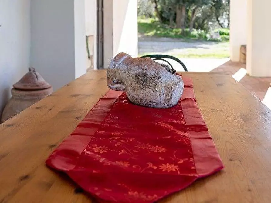 Immagine 44 di Villa in vendita  a Rosignano Marittimo