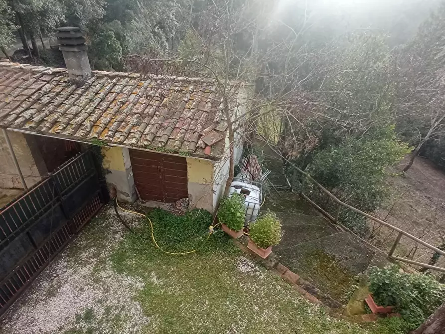 Immagine 8 di Porzione di casa in vendita  a Palaia