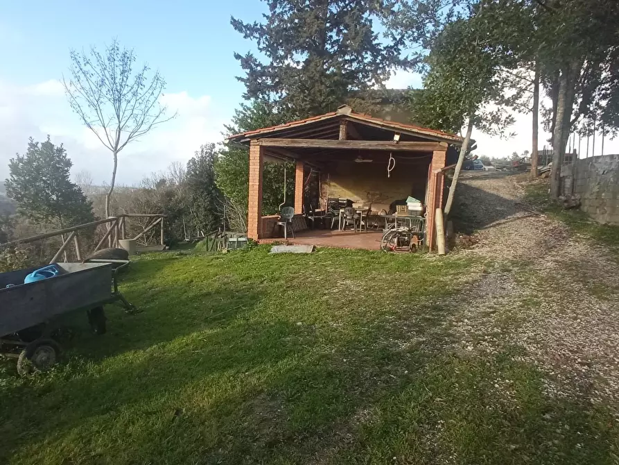 Immagine 17 di Porzione di casa in vendita  a Palaia