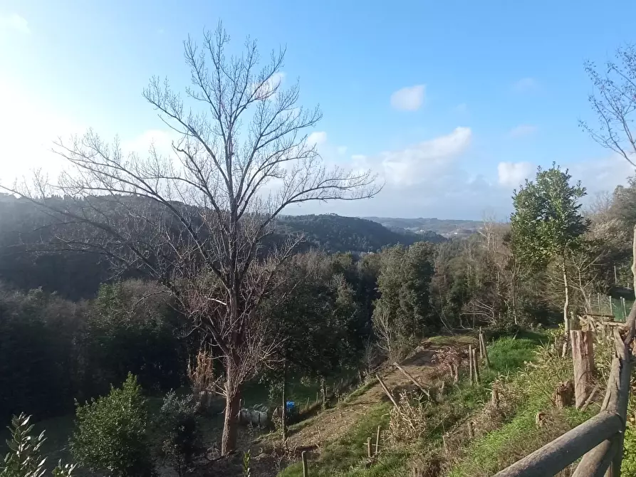 Immagine 20 di Porzione di casa in vendita  a Palaia