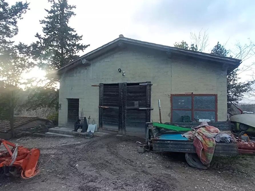 Immagine 28 di Porzione di casa in vendita  a Palaia