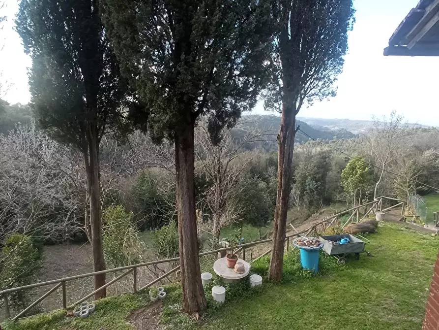 Immagine 9 di Porzione di casa in vendita  a Palaia