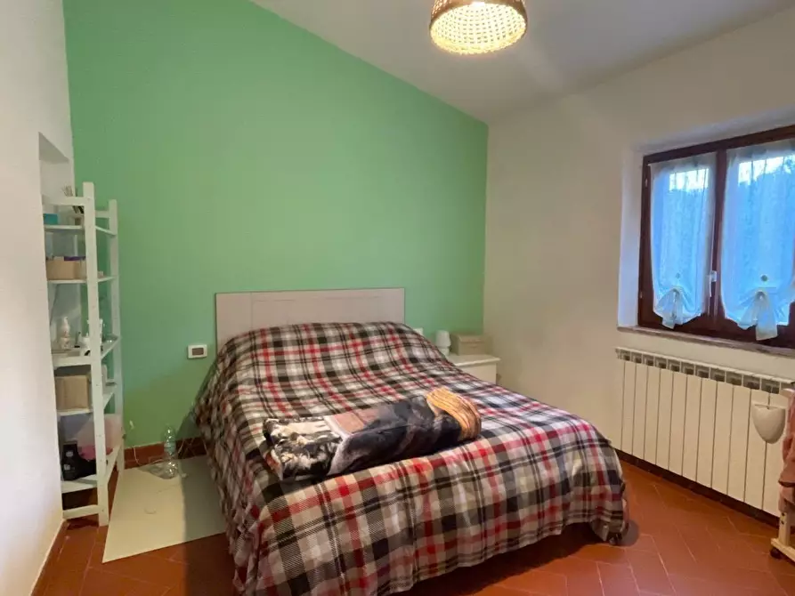 Immagine 19 di Appartamento in vendita  a Vicopisano