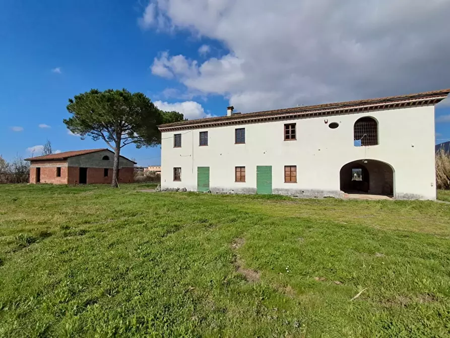 Immagine 16 di Terratetto in vendita  a San Giuliano Terme