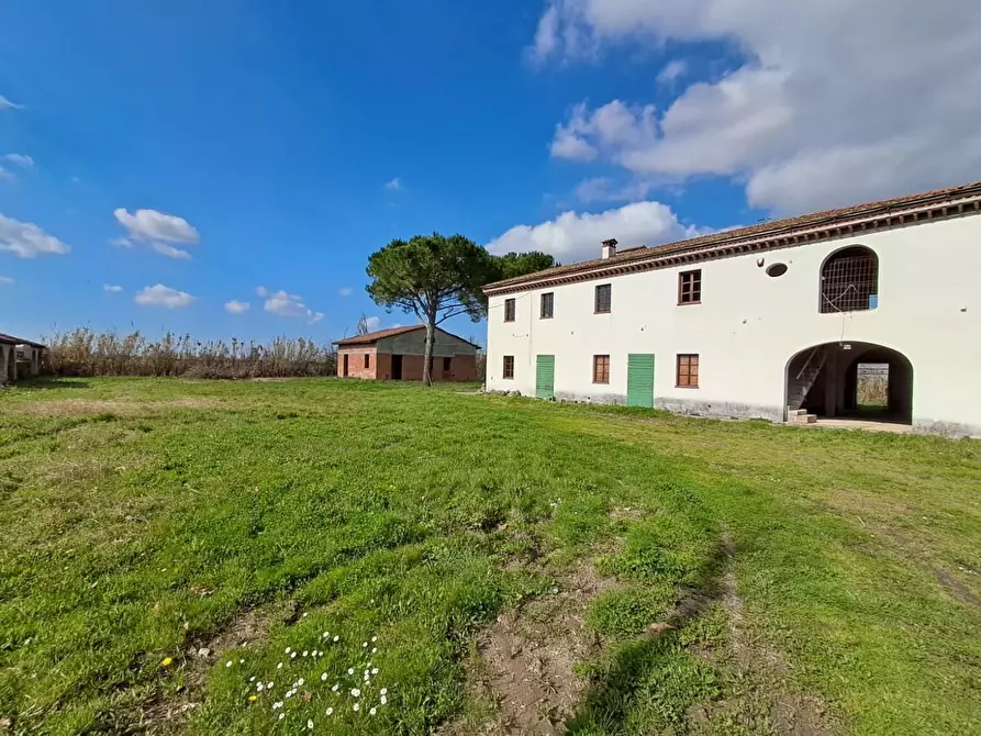 Immagine 19 di Terratetto in vendita  a San Giuliano Terme