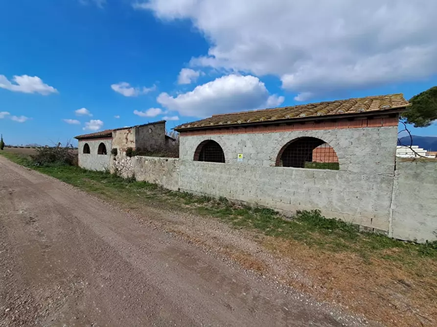 Immagine 18 di Terratetto in vendita  a San Giuliano Terme