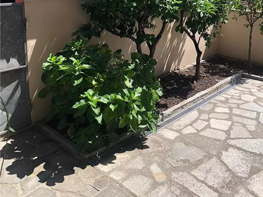 Immagine 13 di Appartamento in vendita  a Carrara