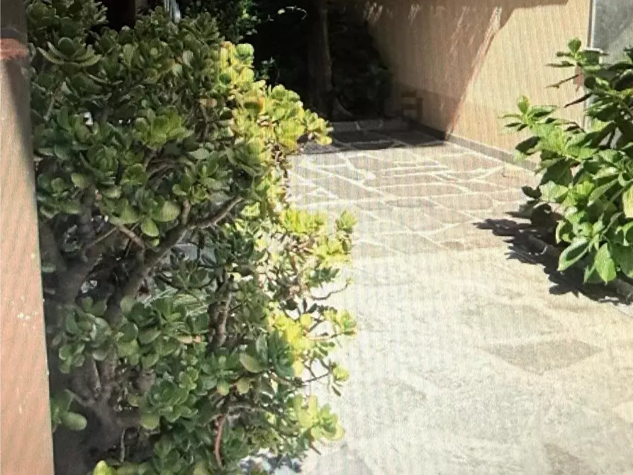 Immagine 16 di Appartamento in vendita  a Carrara